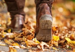 chi-voi-3-000-buoc-moi-ngay-ban-da-co-the-bao-ve-nao-bo