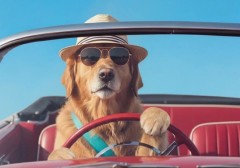 lam-sao-de-thoi-song-nhu-mot-chiec-may