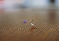 cach-don-nhan-su-bat-dinh