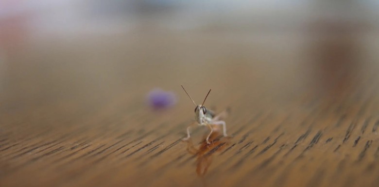 cach-don-nhan-su-bat-dinh