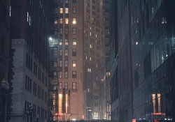 tranh-ne-roi-ruong-bo-la-gi