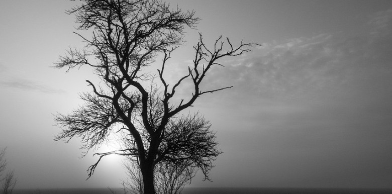 vi-sao-ta-van-co-the-thay-co-don-ngay-ca-khi-o-ben-nhung-nguoi-minh-yeu-thuong