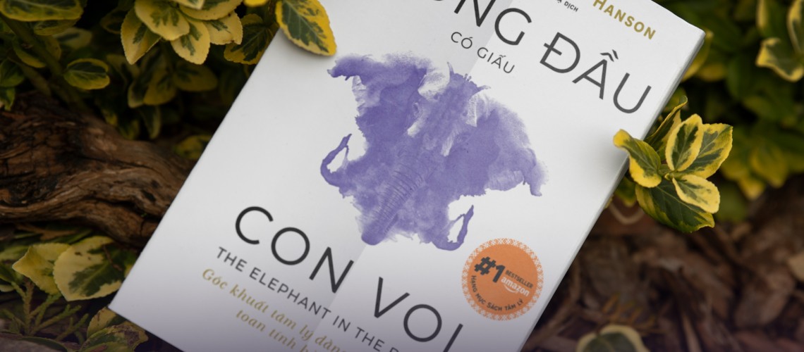 trong-dau-co-giau-con-voi-goc-khuat-tam-ly-dang-sau-nhung-toan-tinh-hang-ngay