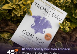 trong-dau-co-giau-con-voi-goc-khuat-tam-ly-dang-sau-nhung-toan-tinh-hang-ngay