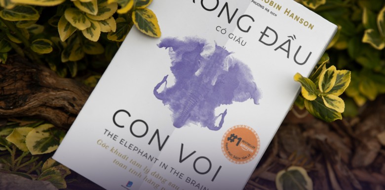 trong-dau-co-giau-con-voi-goc-khuat-tam-ly-dang-sau-nhung-toan-tinh-hang-ngay