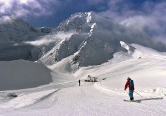 ke-tan-tinh-khong-muon-yeu